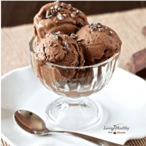 dairy free chocolate ice cream