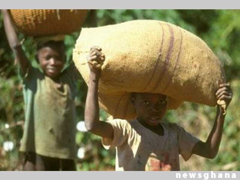 Child Labour: Ghana and Cote d'Ivoire urged to mend cocoa slavery slur