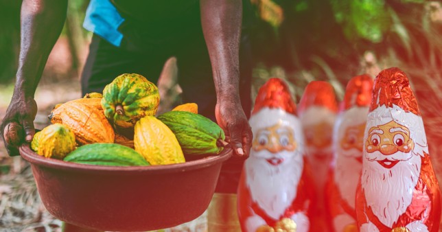 How your Christmas chocolate is forcing African farmers into slavery