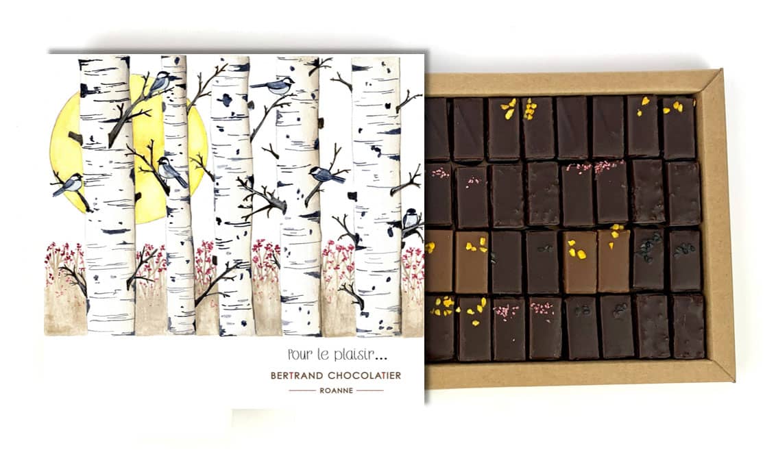 bertrand chocolatier coffret 32 chocolats pralines pour le plaisir