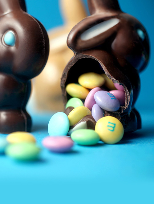 chocolate bunnies thumbnail