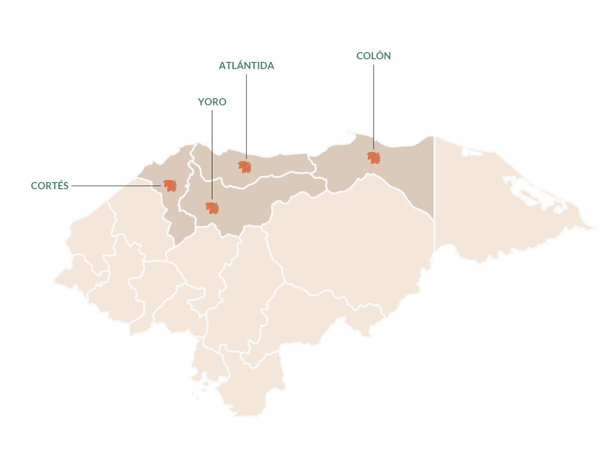 mapa cacao honduras