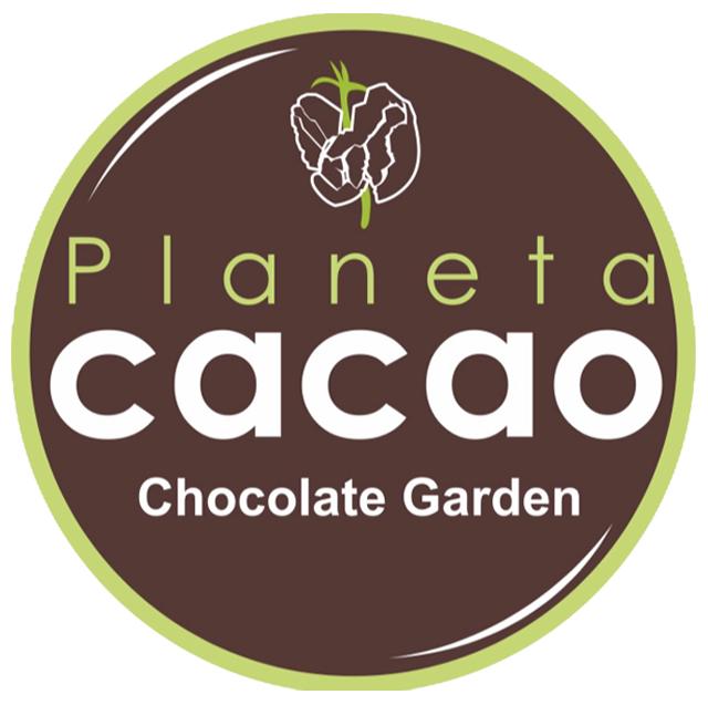 planeta cacao puerto vallarta