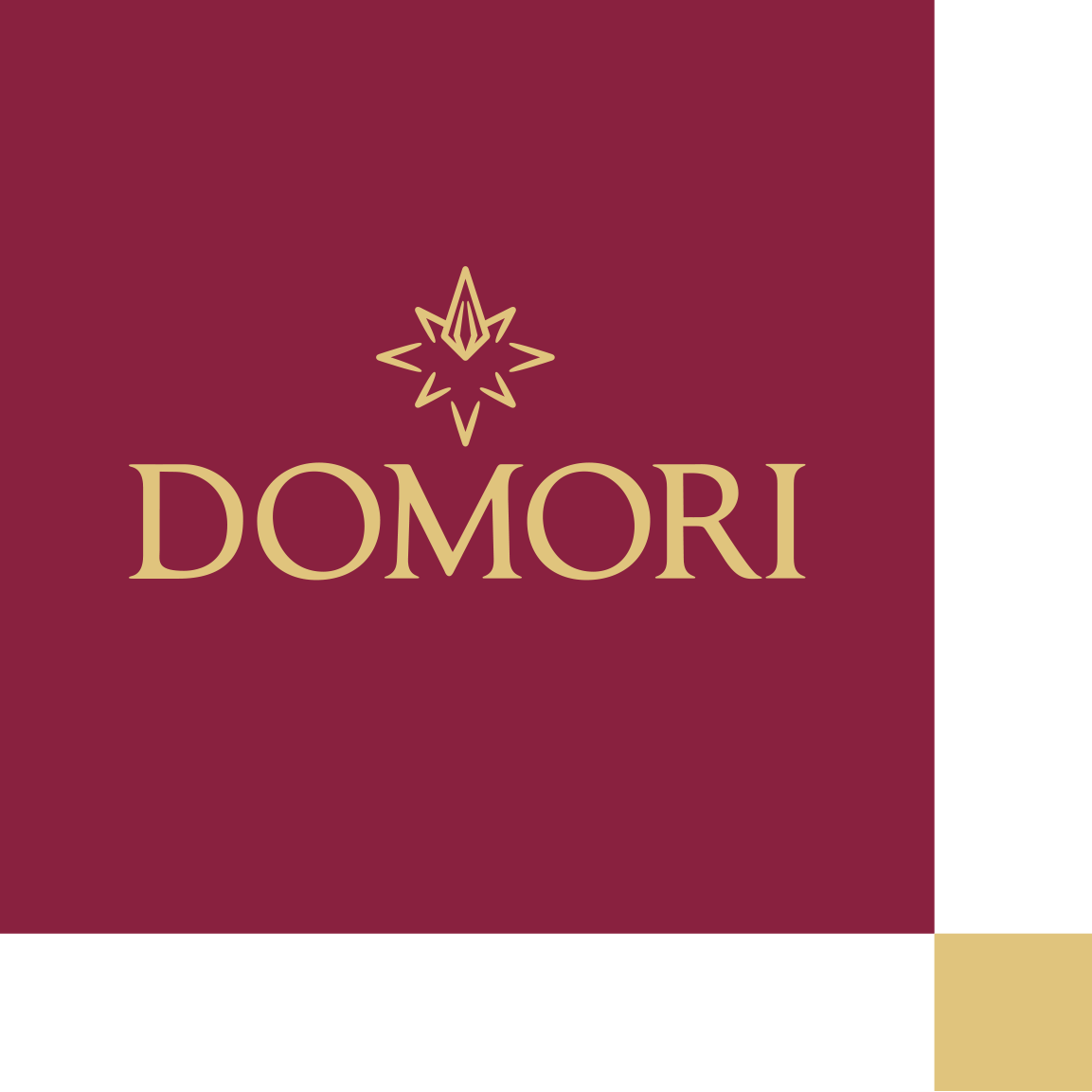 domoricom logo 1564757895